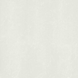Taicera floor tiles 60×60 p67762n