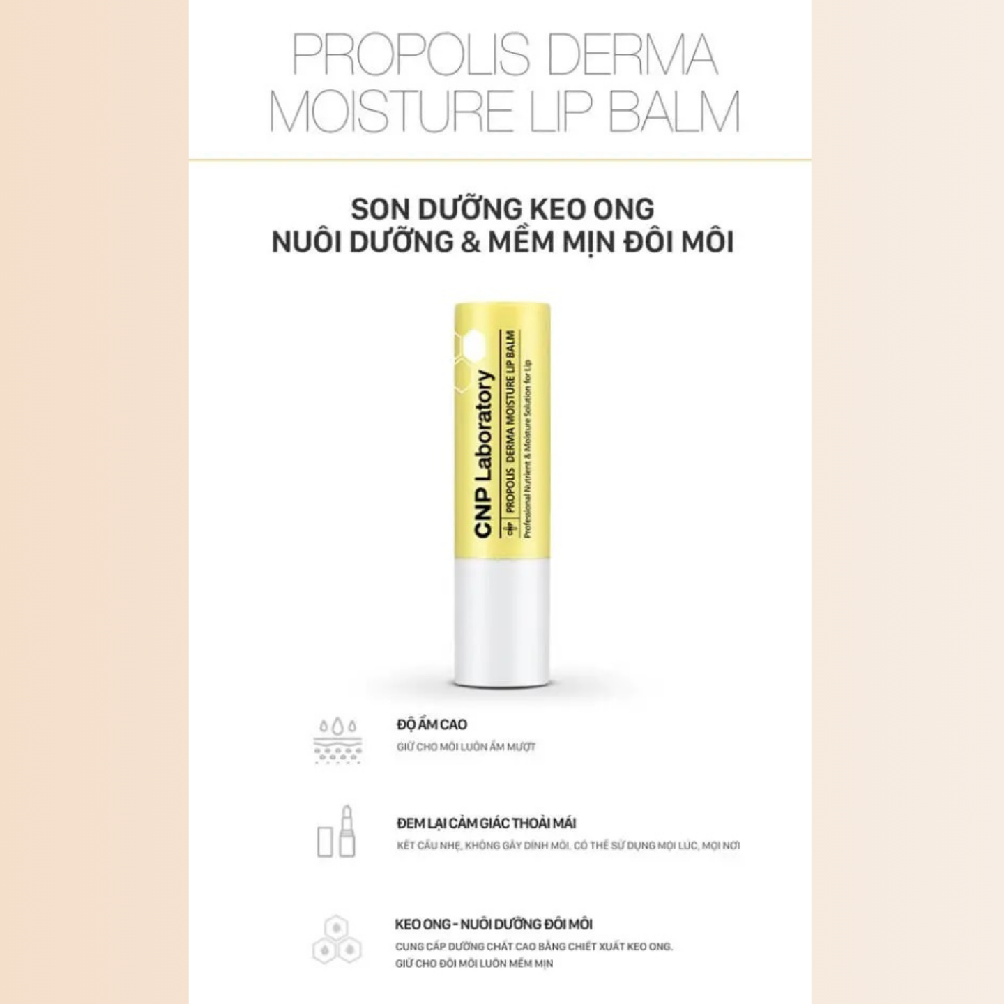 Son Dưỡng Môi CNP Laboratory Propolis Derma Moisture Lip Balm 4g