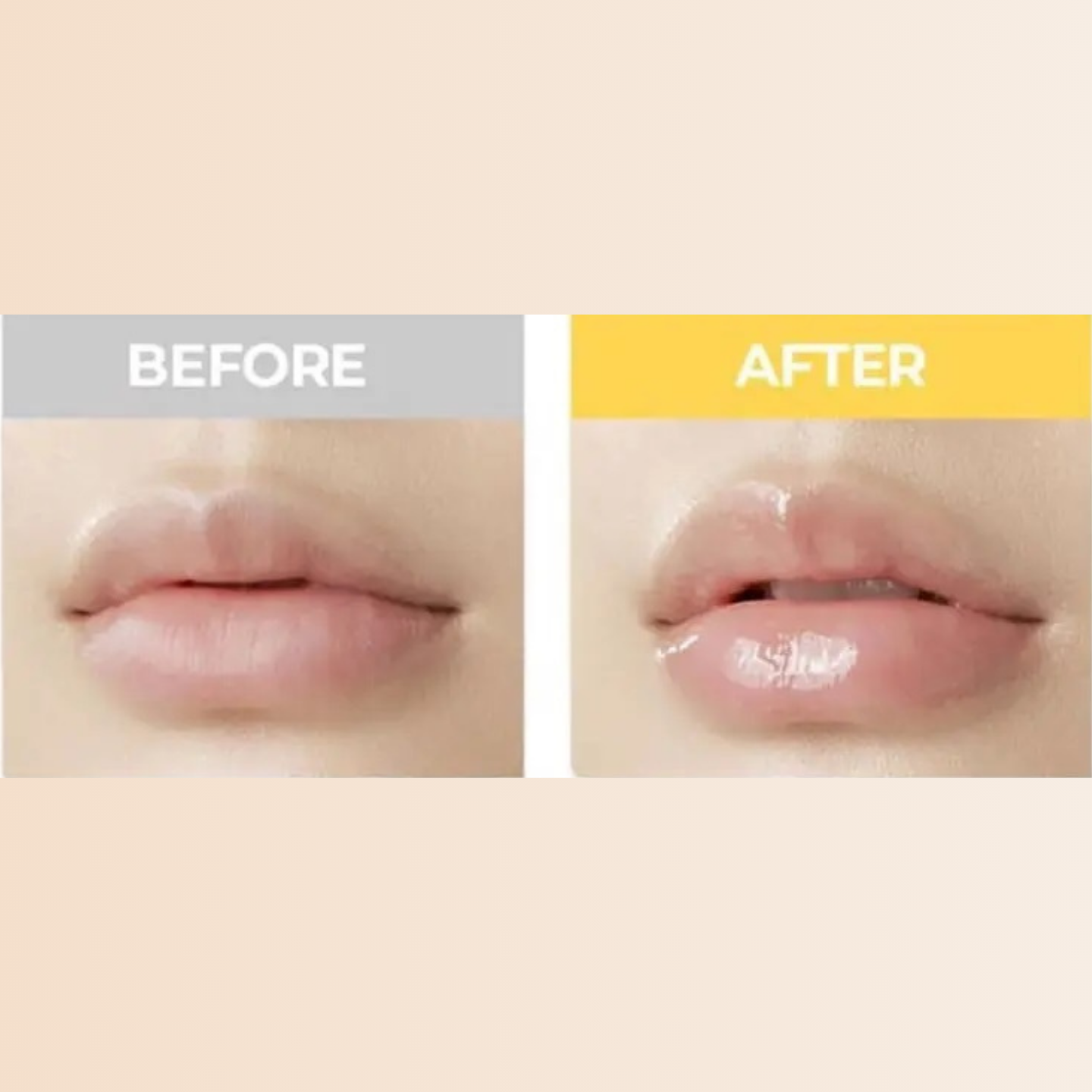 Son Dưỡng Môi CNP Laboratory Propolis Derma Moisture Lip Balm 4g