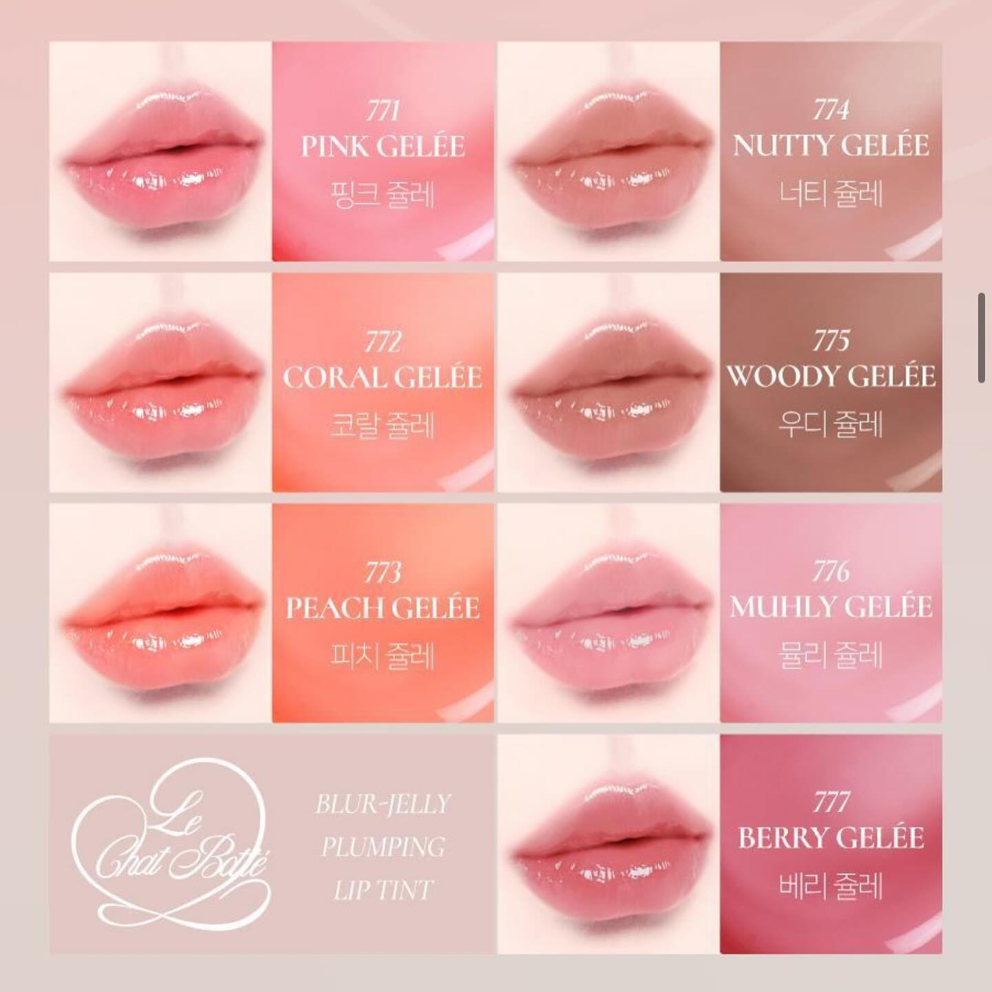 Dinto Blur Jelly Plumping Lip Tint 3.5g