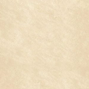 Gạch lát nền taicera 30×30 g38912nd - Daisan Mart