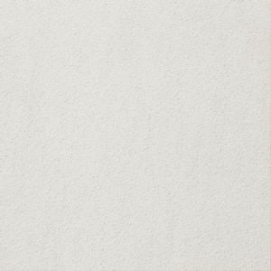 Gạch lát nền taicera 30×30 g38925nd - Daisan Mart