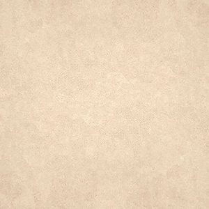 Gạch lát nền taicera 30×30 g38932nd - Daisan Mart