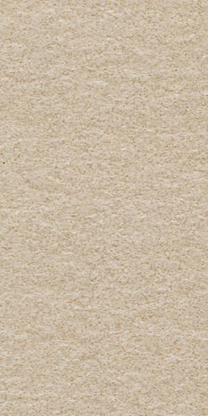 Gạch lát nền taicera 30×60 g63522 - Daisan Mart