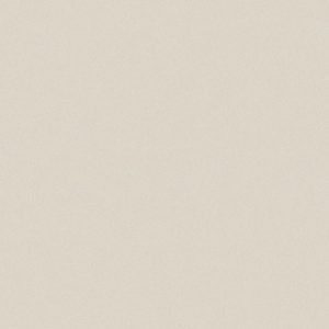 Gạch lát nền taicera 40×40 g49034 - Daisan Mart