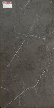 Gạch lát nền taicera 60×120 g12808 - Daisan Mart