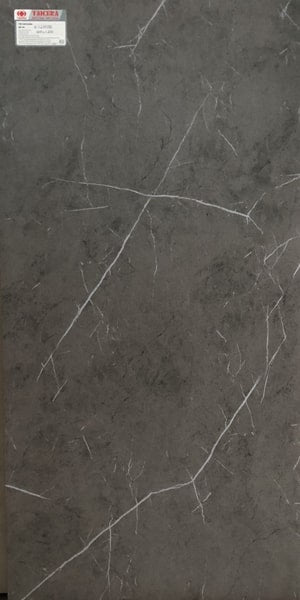 Gạch lát nền taicera 60×120 g12808 - Daisan Mart