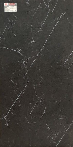 Gạch lát nền taicera 60×120 g12809 - Daisan Mart