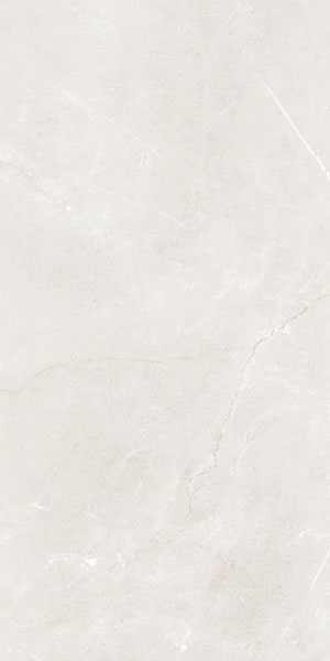 Gạch lát nền taicera 60×120 g12845 - Daisan Mart
