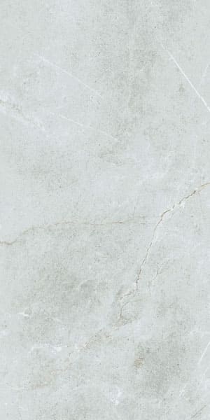 Gạch lát nền taicera 60×120 g12848 - Daisan Mart