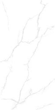 Gạch lát nền taicera 60×120 gp12085 - Daisan Mart