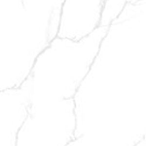 Gạch lát nền taicera 60×120 gp12085 - Daisan Mart