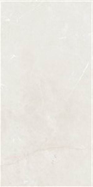 Gạch lát nền taicera 60×120 gp12845 - Daisan Mart