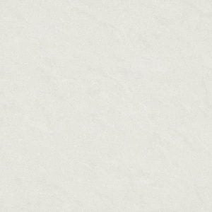 Gạch lát nền taicera 60×60 p67542n - Daisan Mart