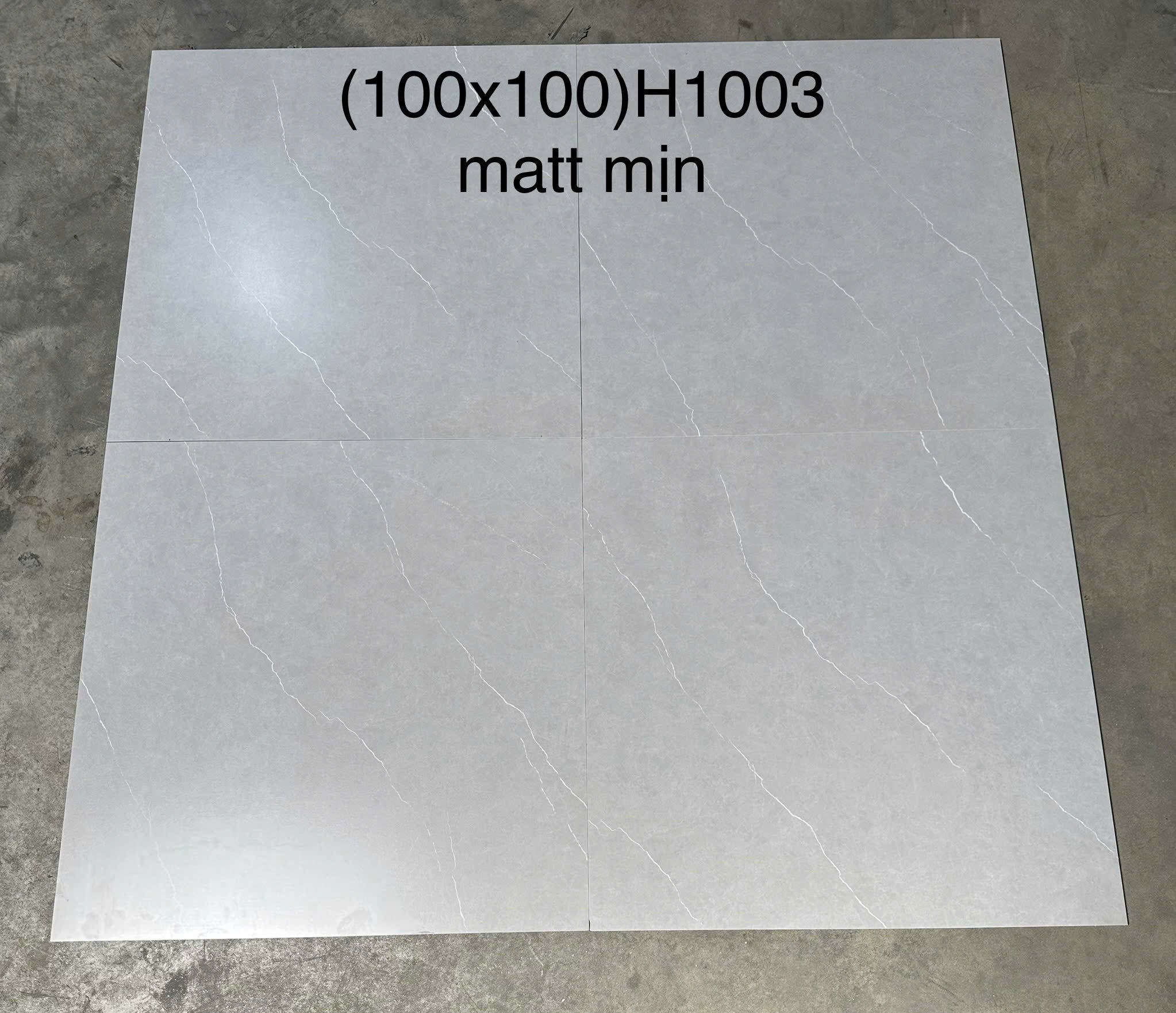 1000x1000 matt smooth floor tiles code H1003
