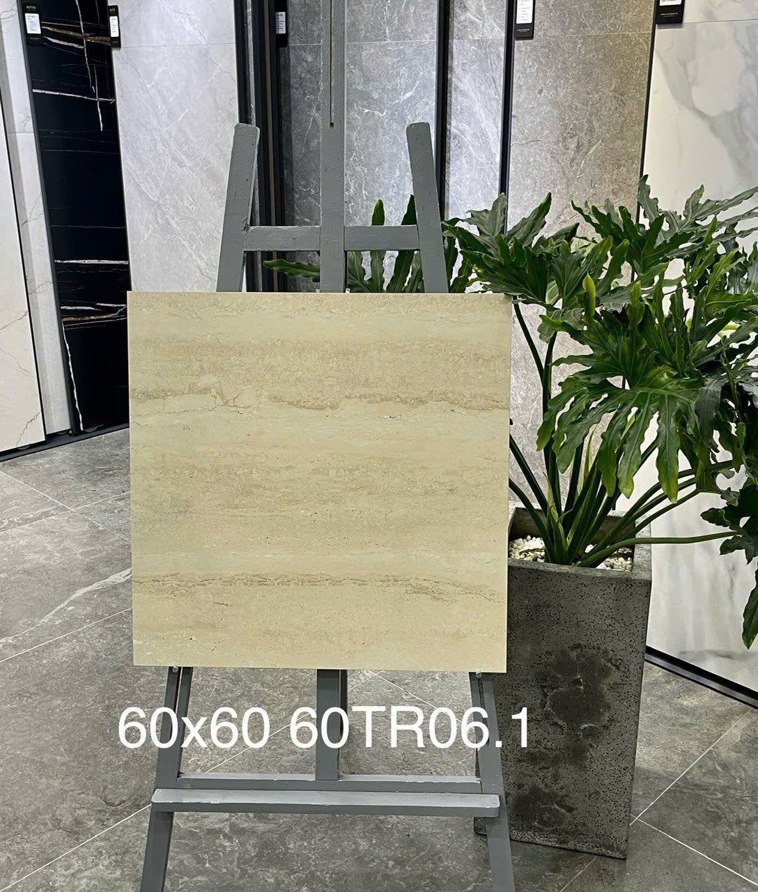 600x600 ceramic tiles code 60TR06