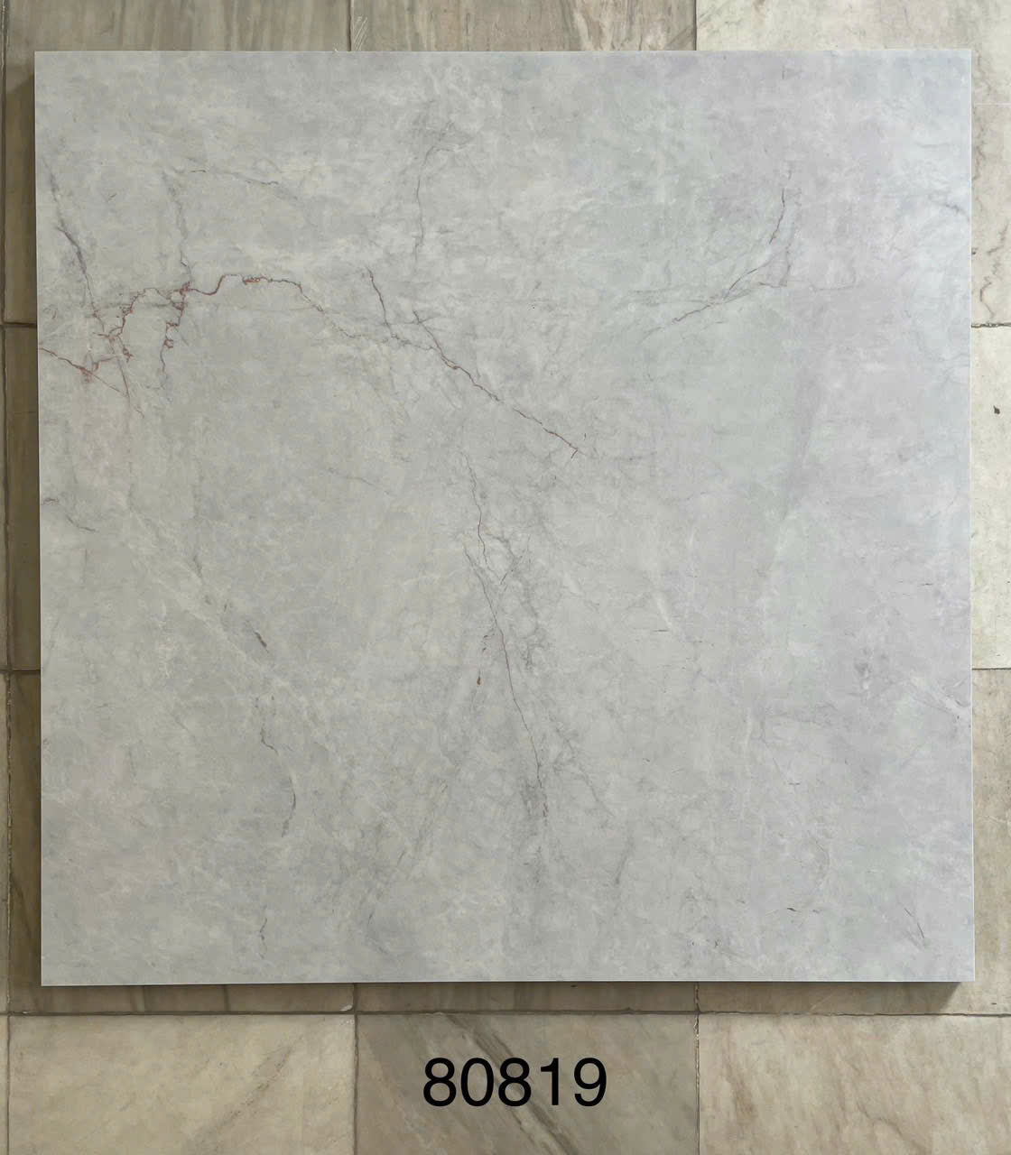 600x600 ceramic tiles code 80819